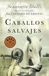 CABALLOS SALVAJES. 