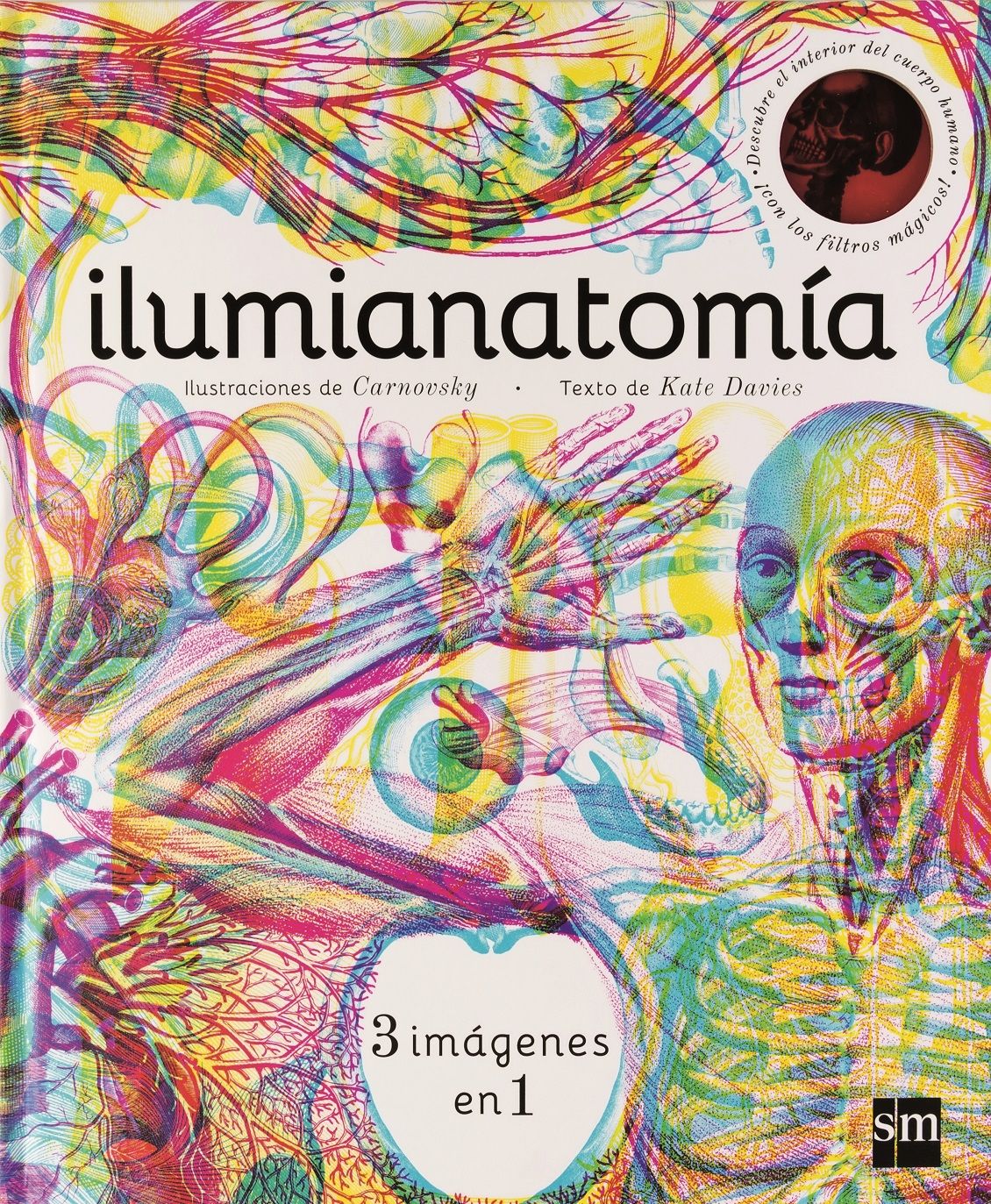 ILUMIANATOMÍA