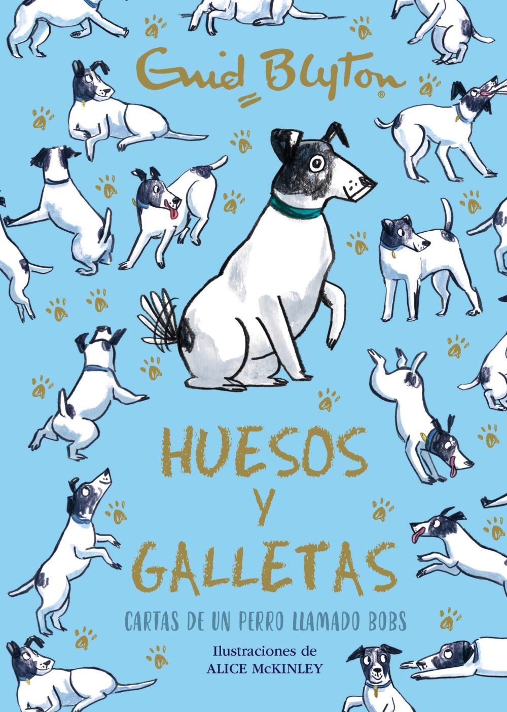 HUESOS Y GALLETAS