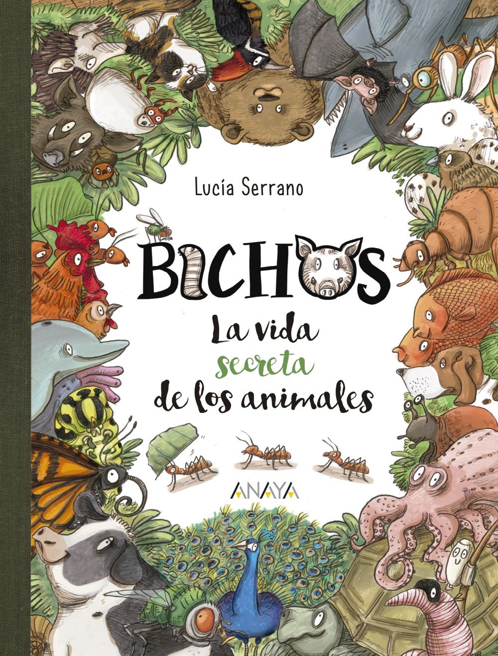 BICHOS. LA VIDA SECRETA DE LOS ANIMALES