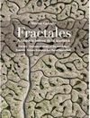 FRACTALES: ANATOMÍA ÍNTIMA DE LA MARISMA