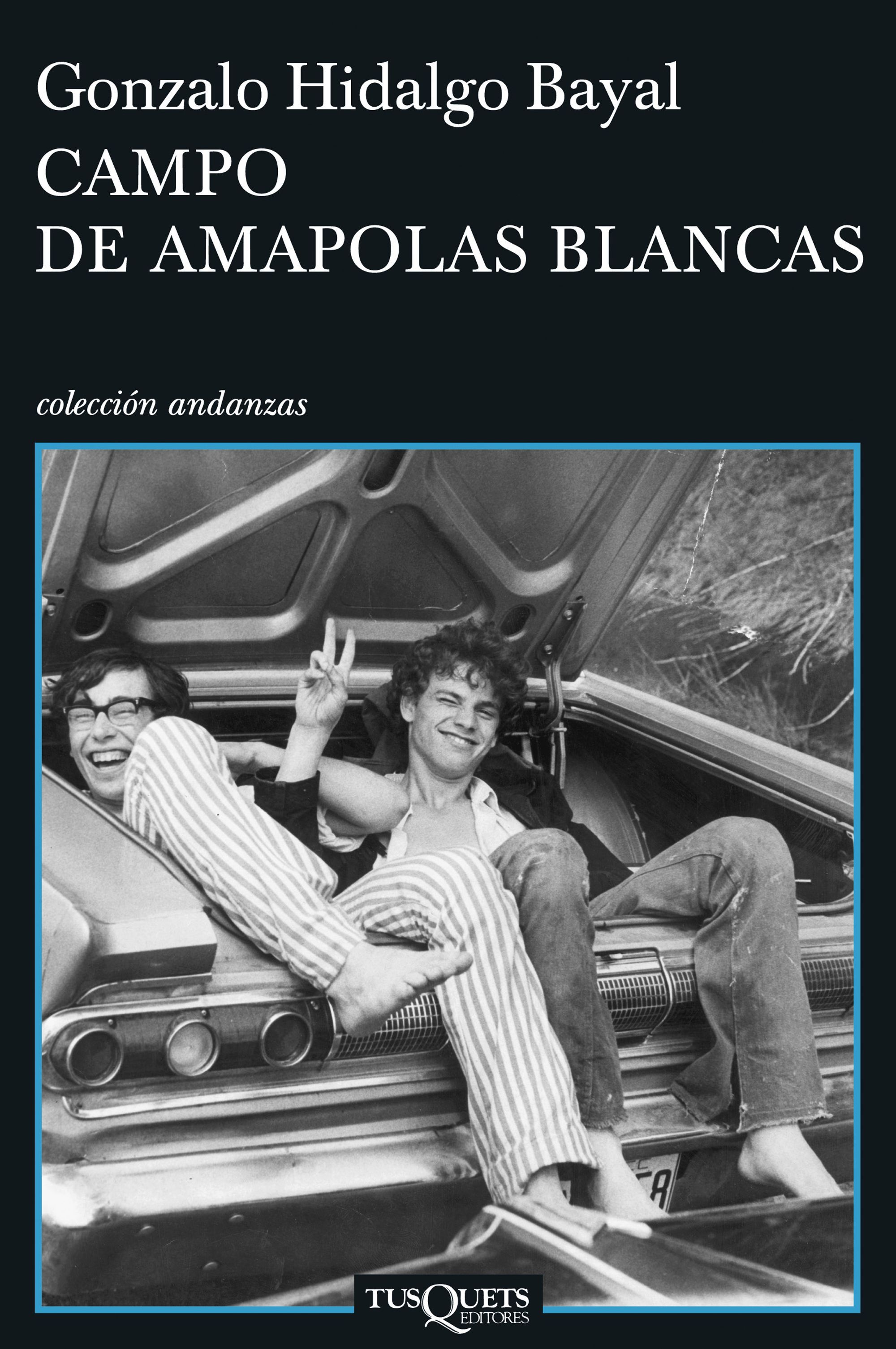CAMPO DE AMAPOLAS BLANCAS. 