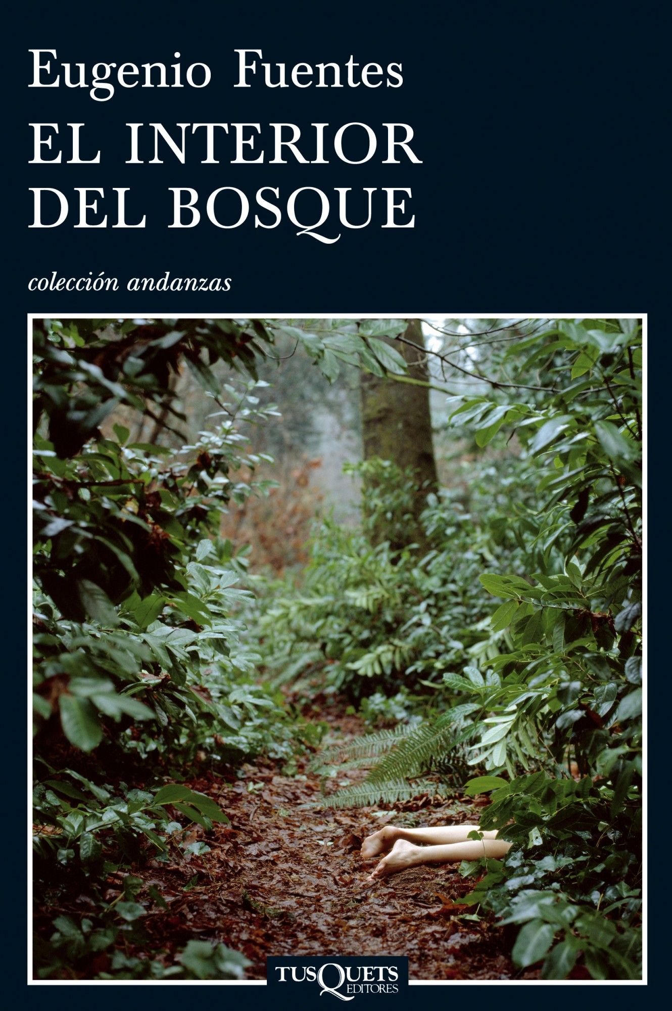 EL INTERIOR DEL BOSQUE. 