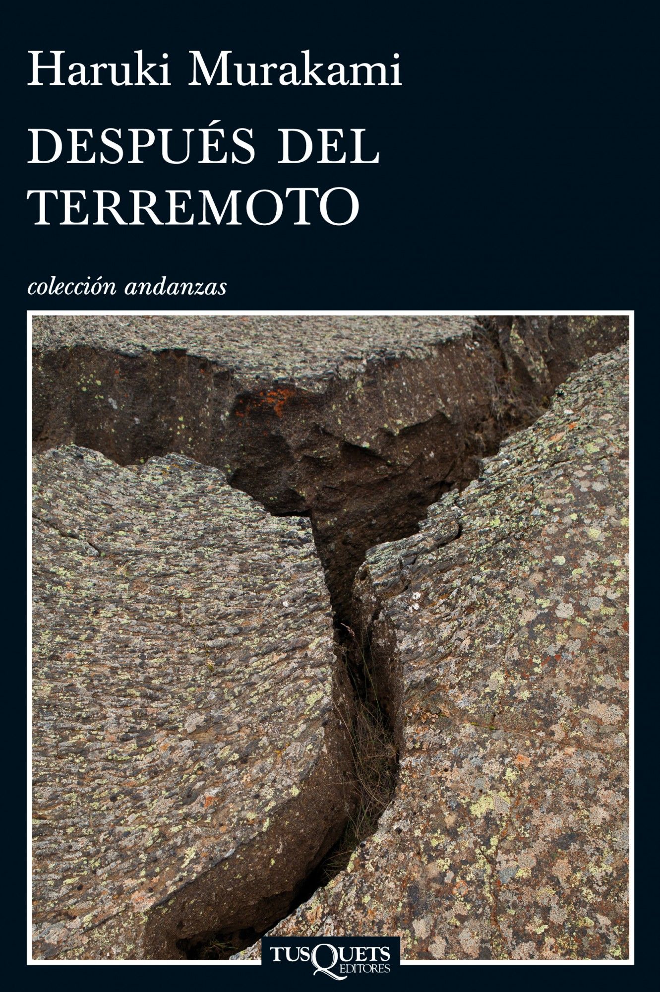 DESPUÉS DEL TERREMOTO.