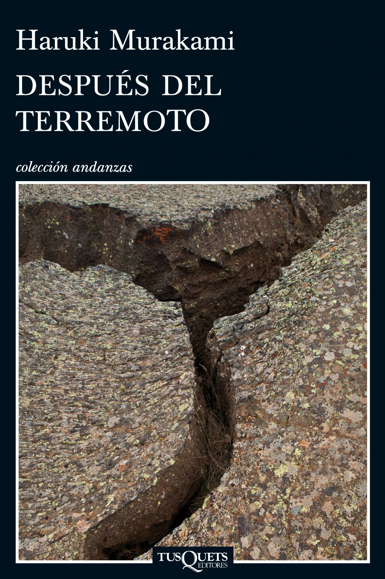 DESPUÉS DEL TERREMOTO