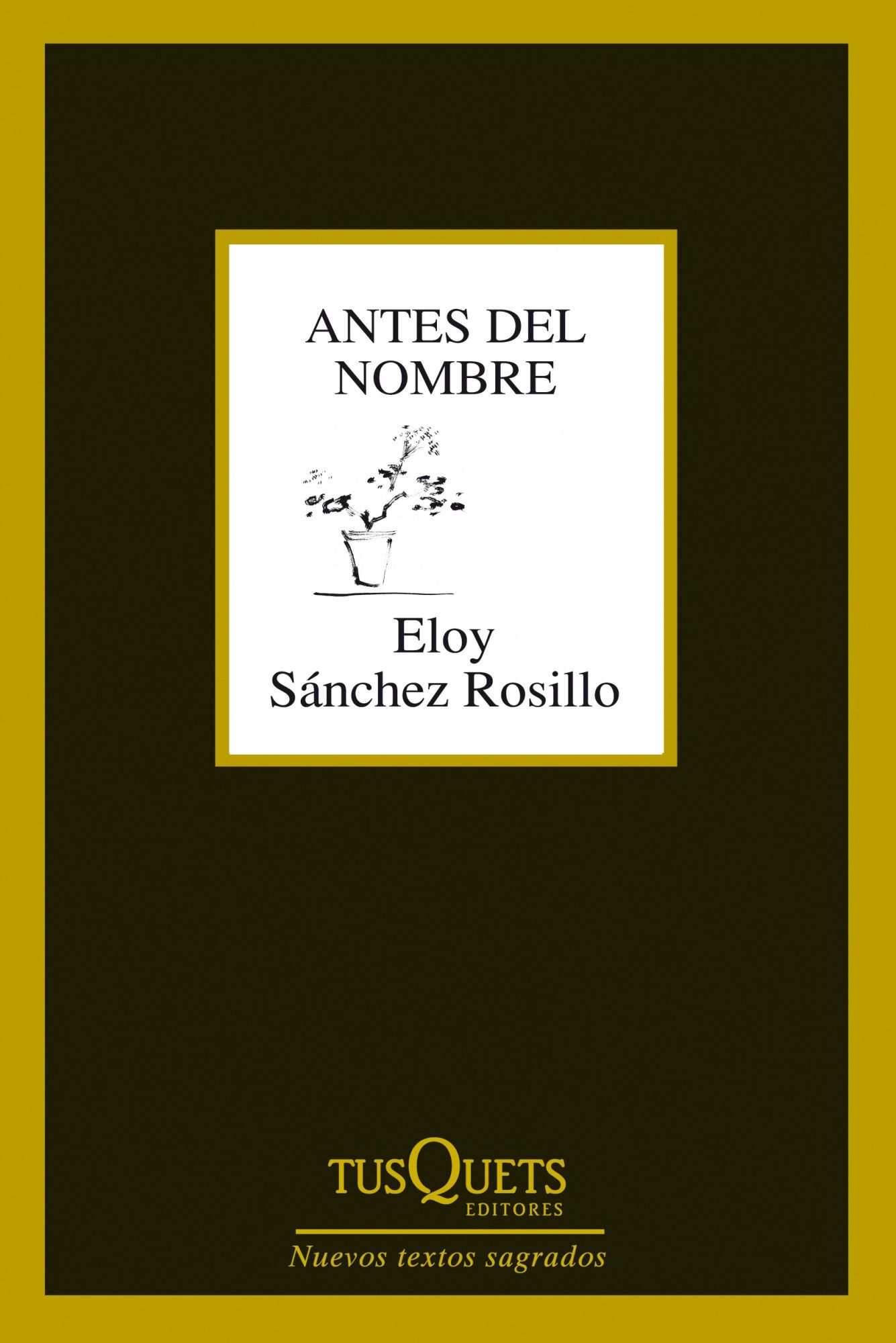 ANTES DEL NOMBRE.