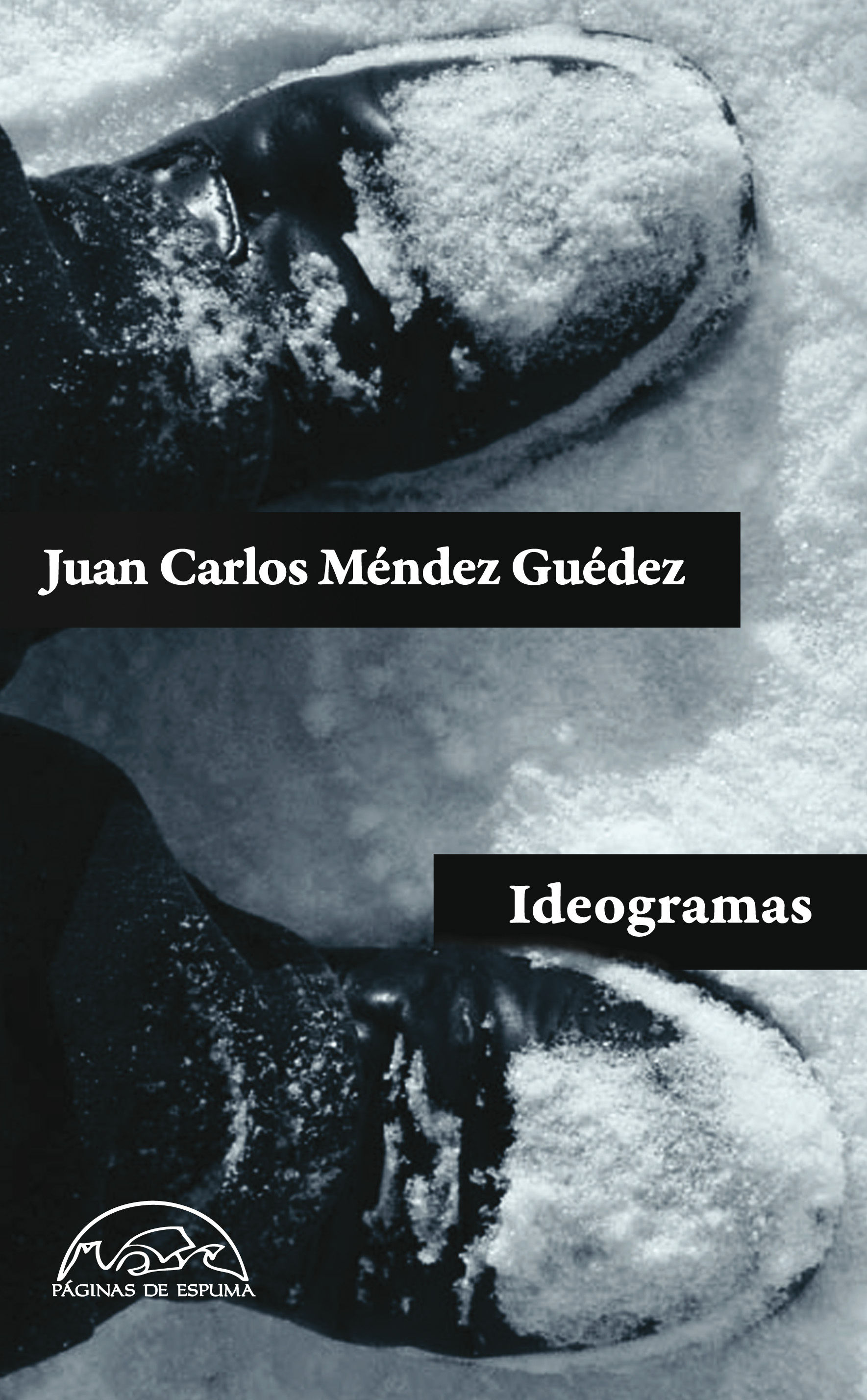 IDEOGRAMAS. 