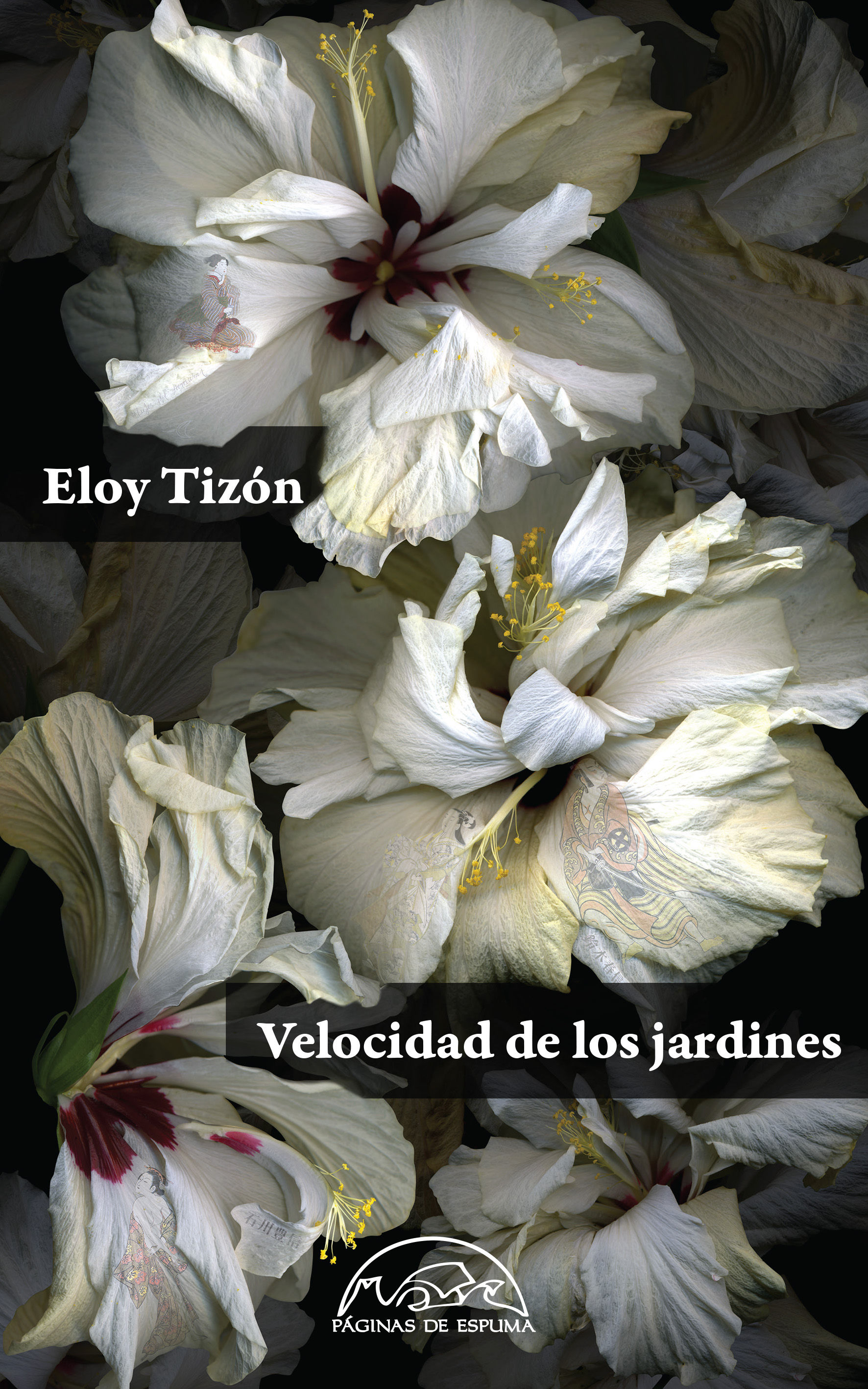 VELOCIDAD DE LOS JARDINES. 