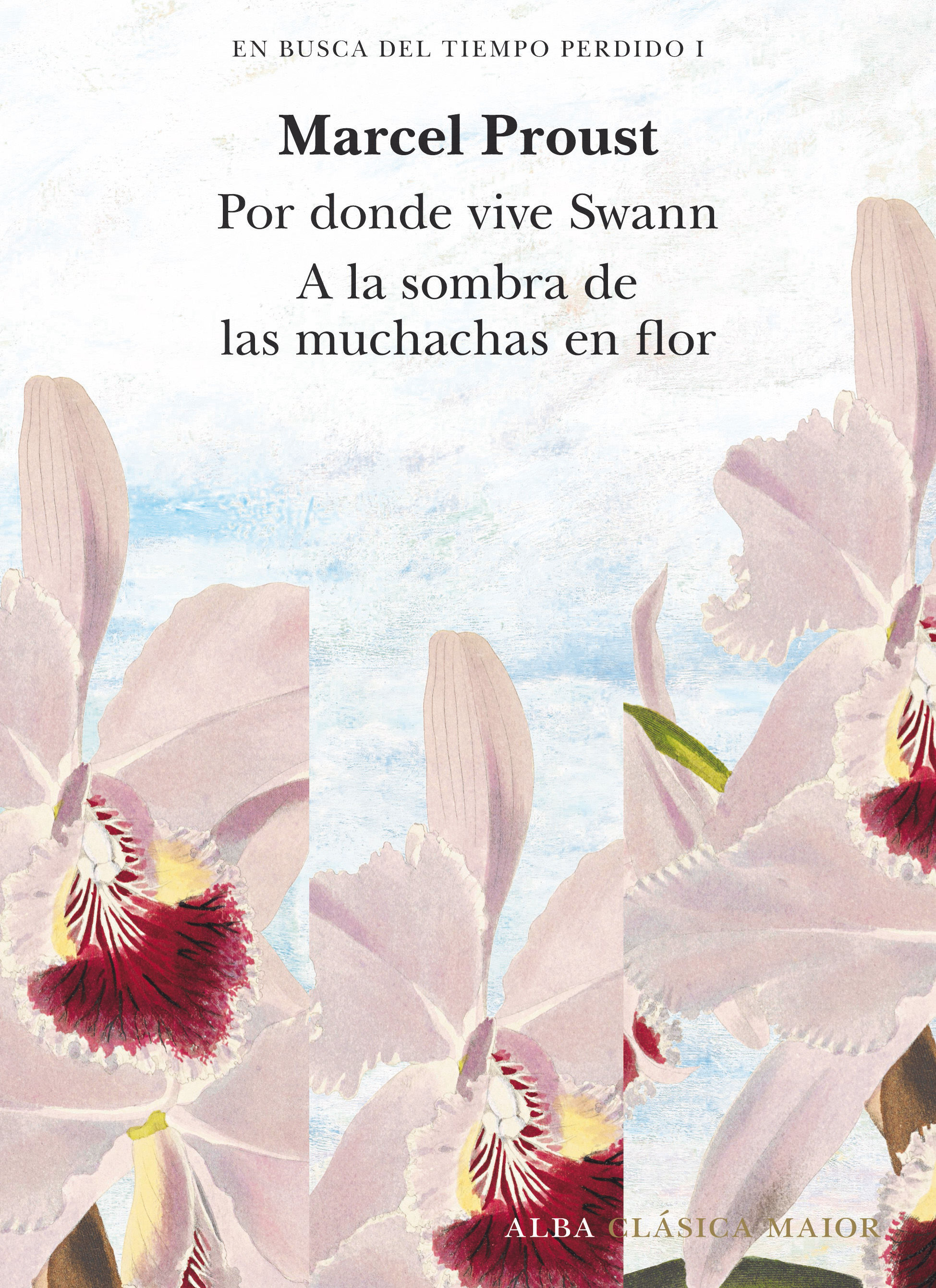 EN BUSCA DEL TIEMPO PERDIDO VOL. I. POR DONDE VIVE SWAN (TOMO I) Y A LA SOMBRA DE LAS MUCHACHAS EN FLOR (TOMO II)