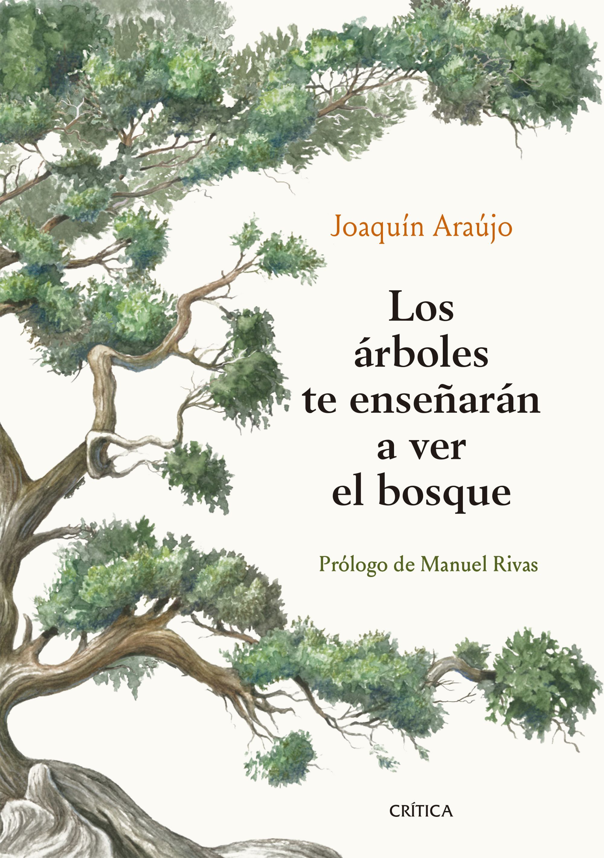 LOS ÁRBOLES TE ENSEÑARÁN A VER EL BOSQUE. ------