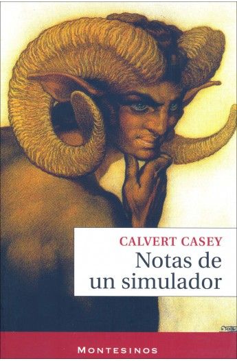 NOTAS DE UN SIMULADOR.