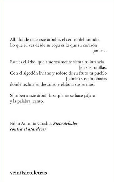 SIETE ÁRBOLES CONTRA EL ATARDECER.