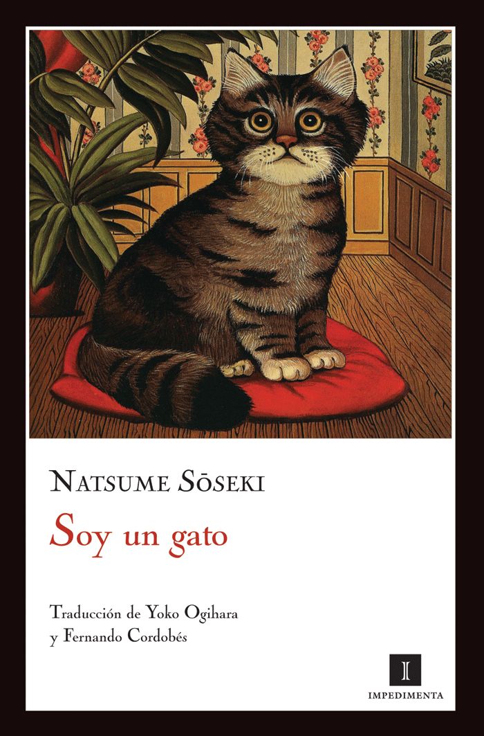 SOY UN GATO. 