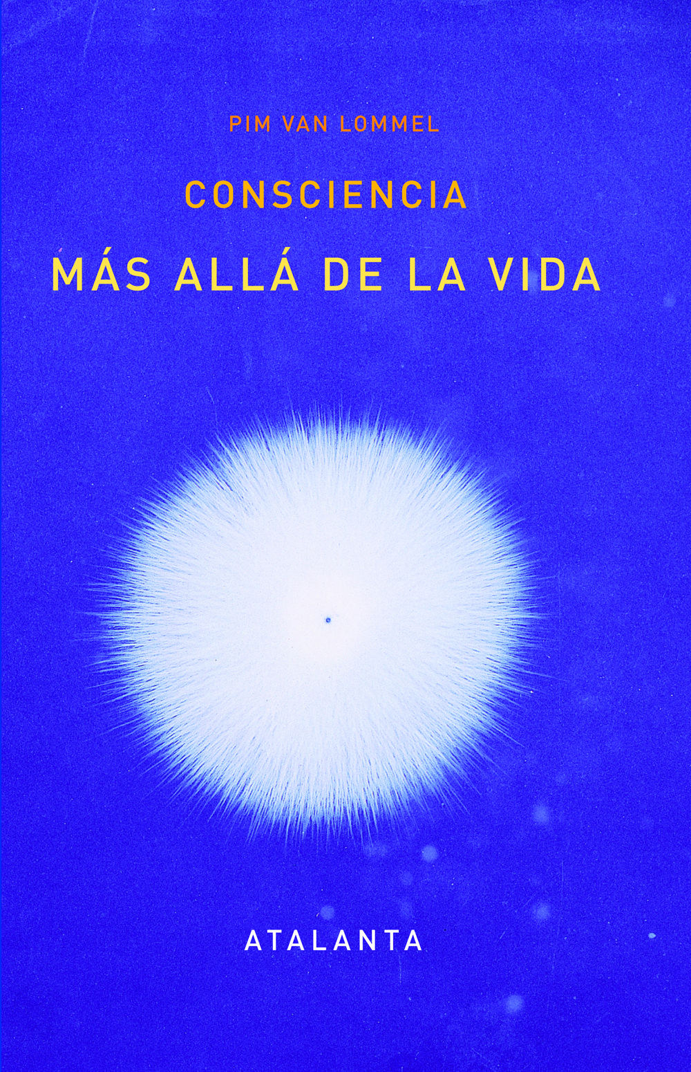 CONSCIENCIA MÁS ALLÁ DE LA VIDA..