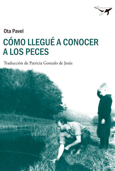 CÓMO LLEGUÉ A CONOCER A LOS PECES. 