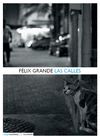 LAS CALLES.