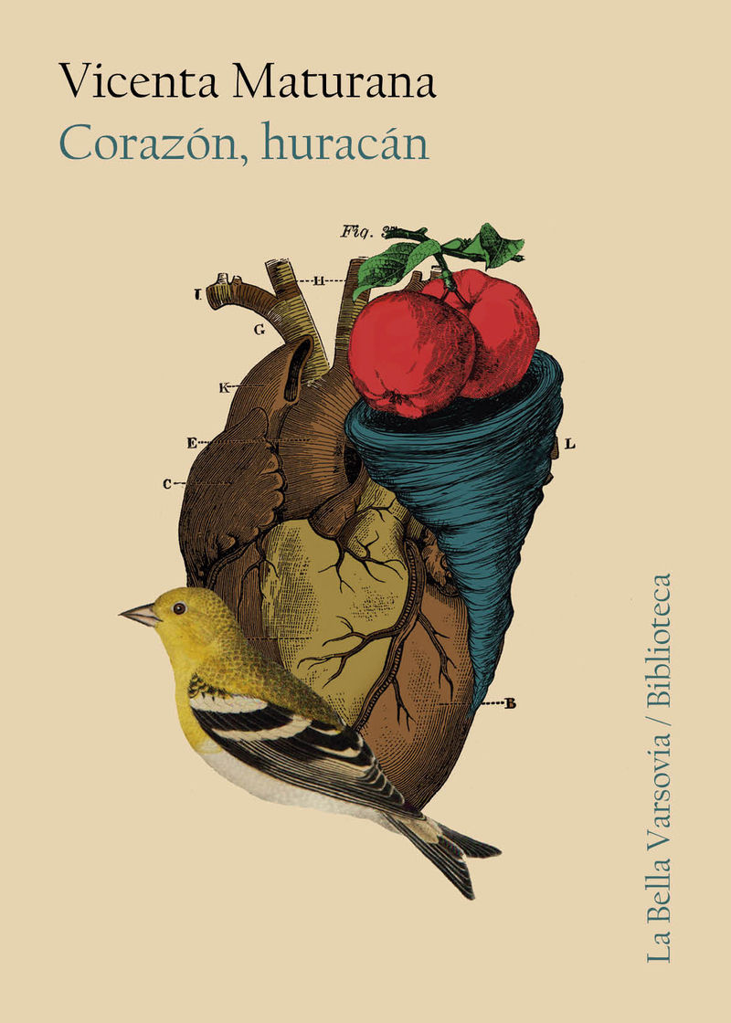 CORAZÓN, HURACÁN. 