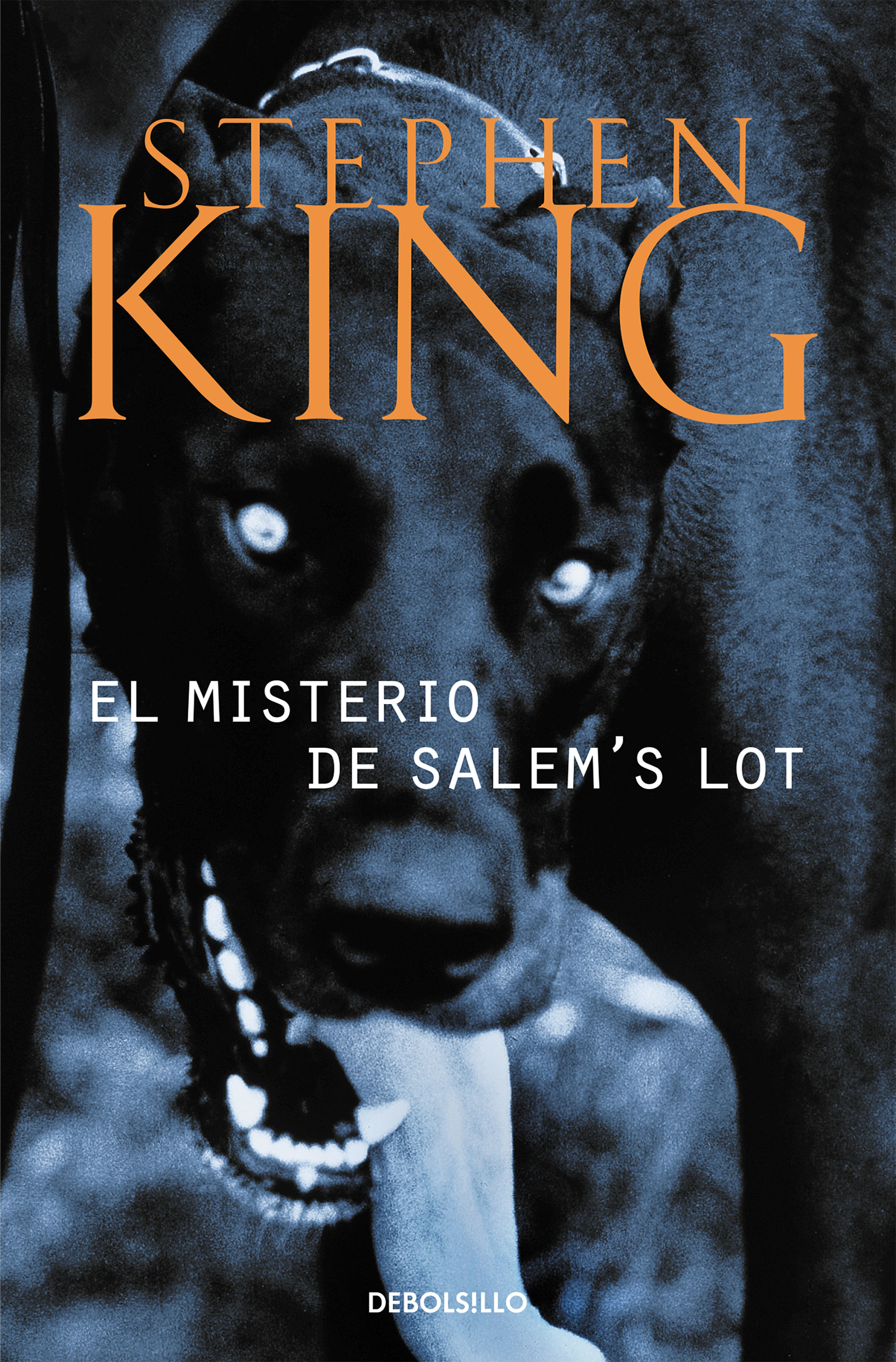 EL MISTERIO DE SALEM'S LOT. 