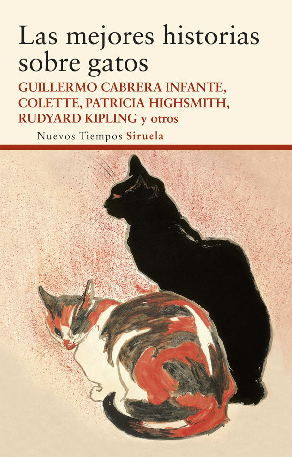 LAS MEJORES HISTORIAS SOBRE GATOS. 