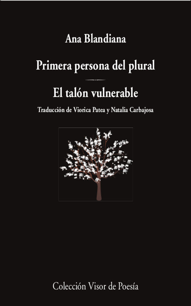 PRIMERA PERSONA DEL PLURAL / EL TALÓN VULNERABLE. 