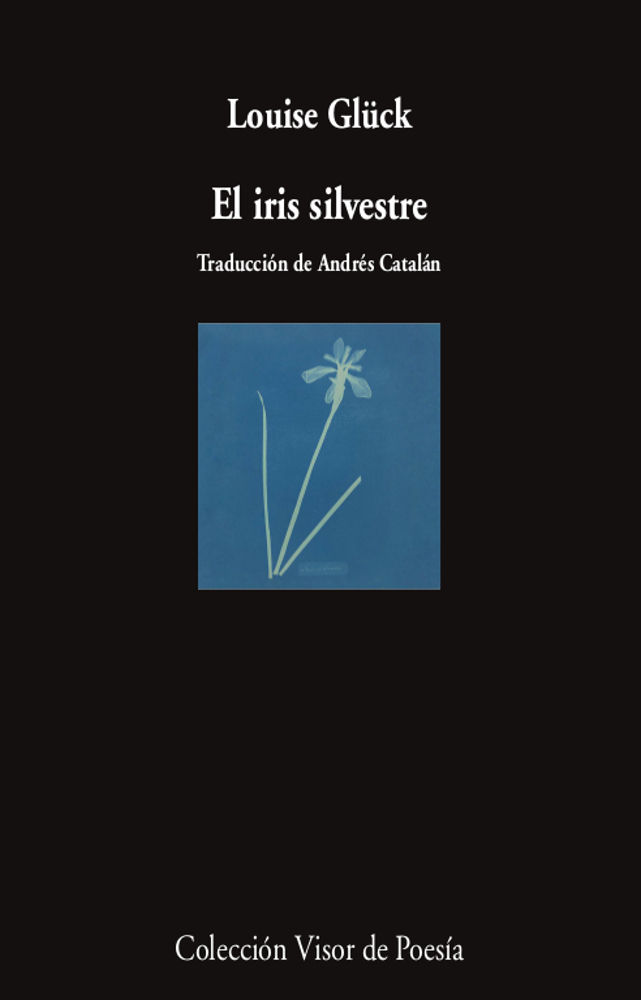 EL IRIS SILVESTRE. 