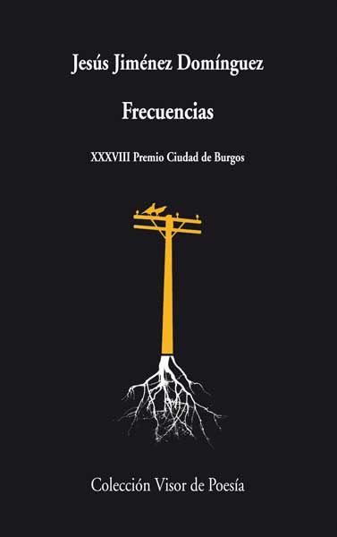 FRECUENCIAS. XXXVIII PREMIO CIUDAD DE BURGOS