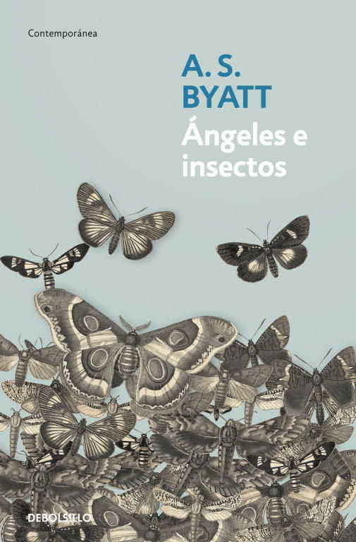 ÁNGELES E INSECTOS. 