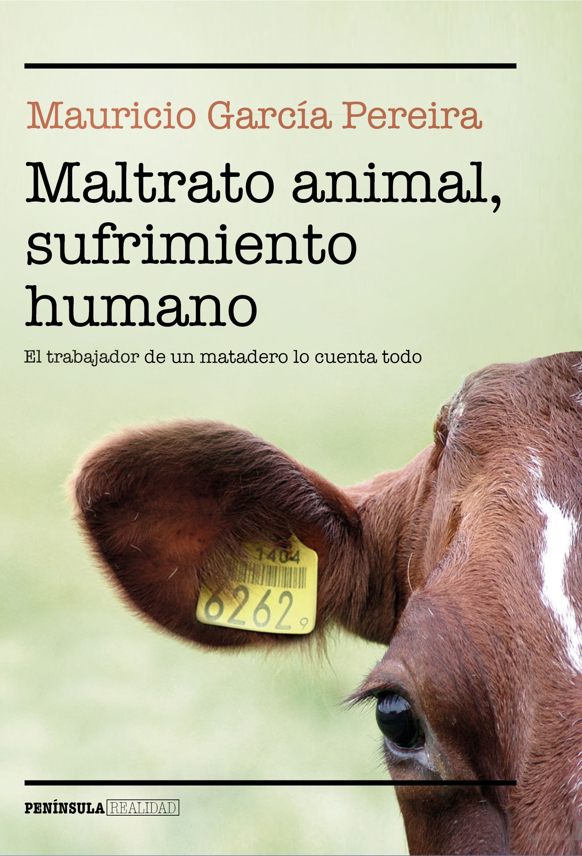 MALTRATO ANIMAL, SUFRIMIENTO HUMANO. EL TRABAJADOR DE UN MATADERO LO CUENTA TODO