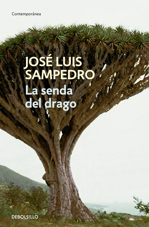 LA SENDA DEL DRAGO. 