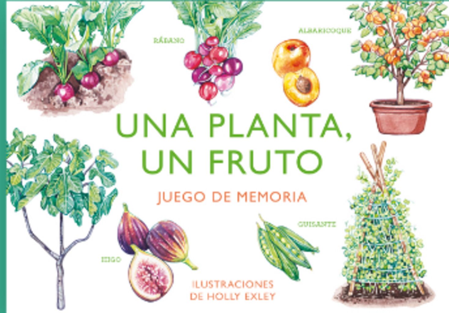 UNA PLANTA UN FRUTO