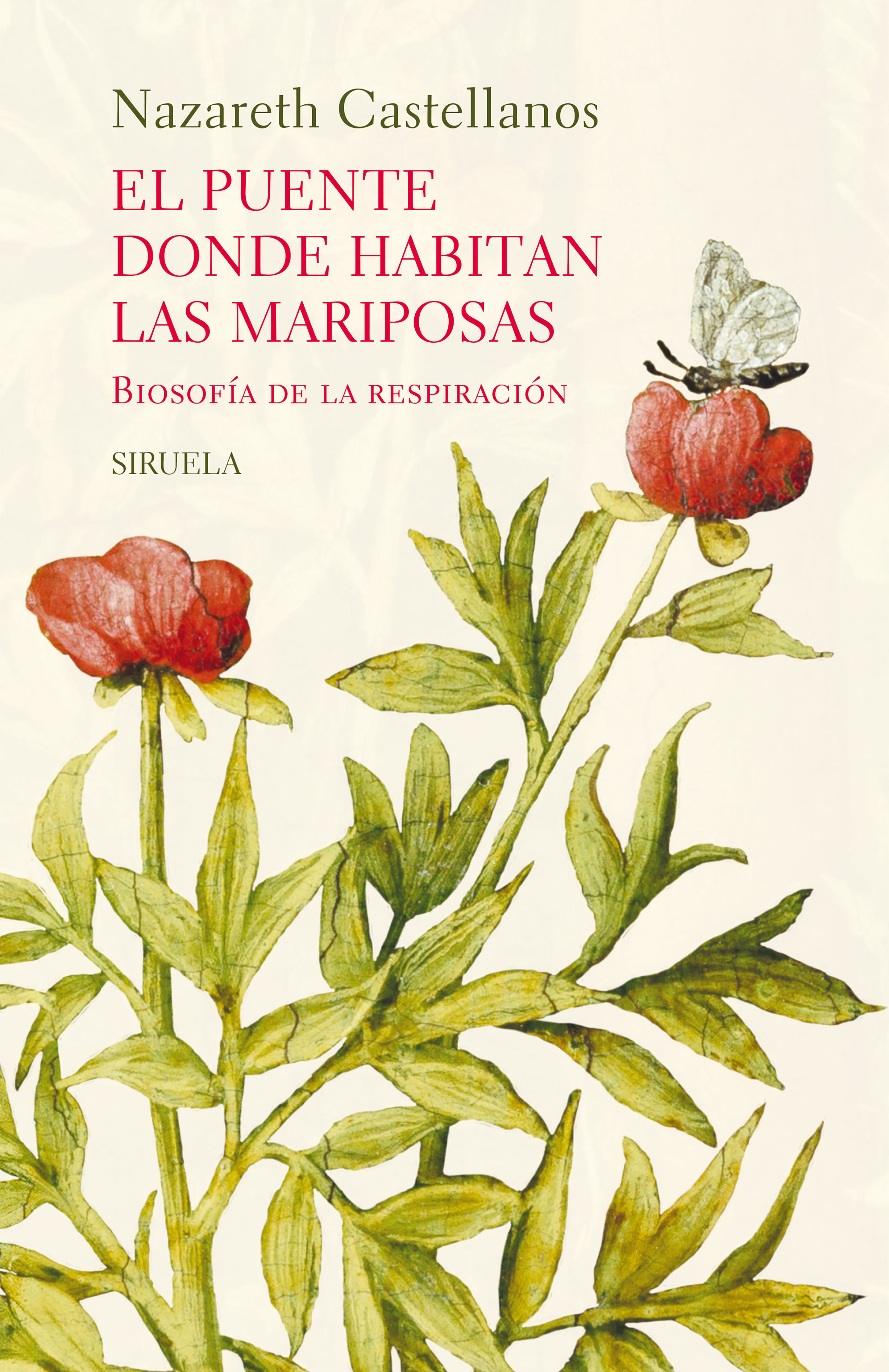 EL PUENTE DONDE HABITAN LAS MARIPOSAS
